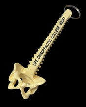 SPINAL COLUMN KEYCHAIN